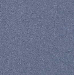 科林（COLOR 1202）
