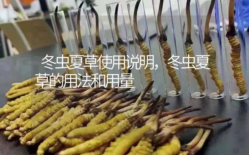 冬蟲夏草使用說明，冬蟲夏草的用法和用量