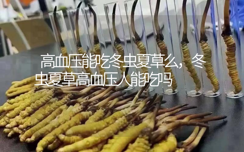 高血壓能吃冬蟲夏草么，冬蟲夏草高血壓人能吃嗎