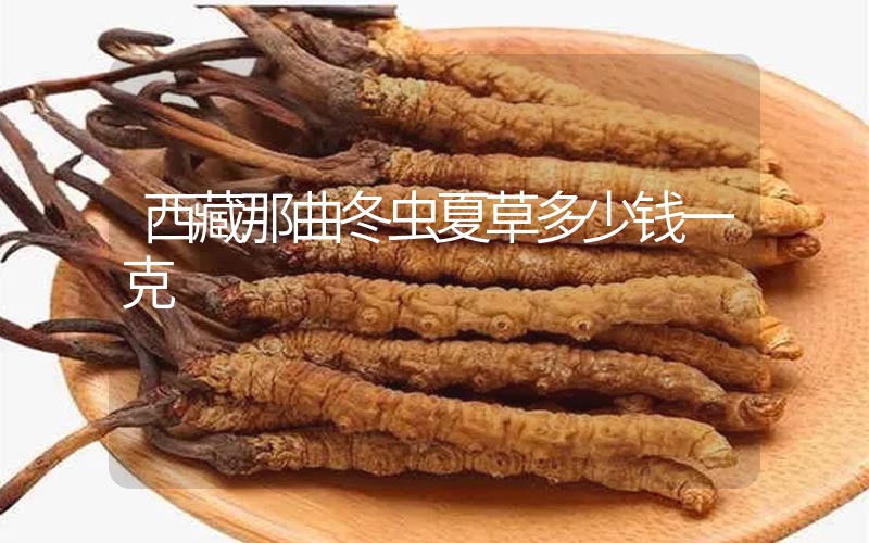 西藏那曲冬蟲夏草多少錢一克？