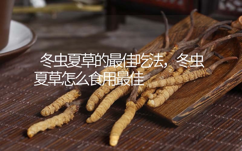 冬蟲(chóng)夏草的最佳吃法，冬蟲(chóng)夏草怎么食用最佳