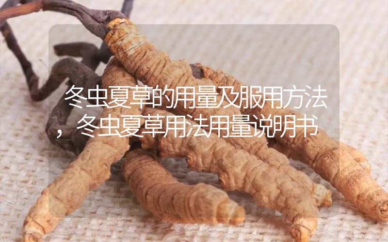 冬蟲夏草的用量及服用方法，冬蟲夏草用法用量