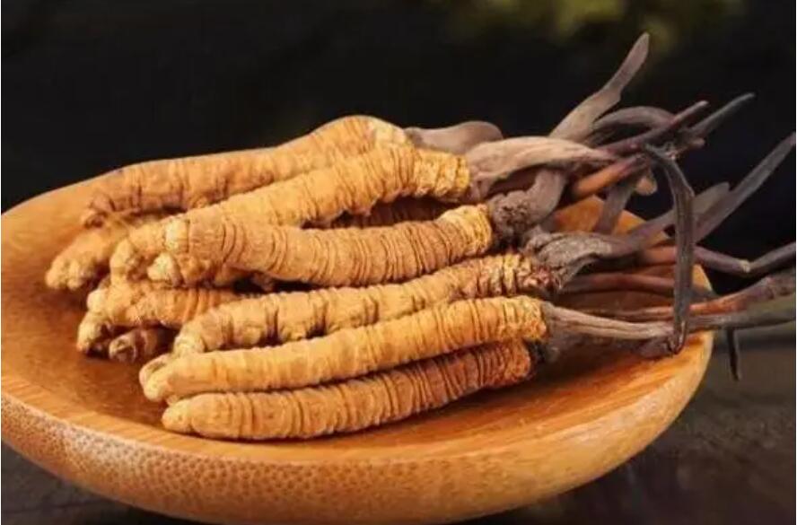 冬蟲(chóng)夏草有調(diào)理便秘的作用嗎？咱們來(lái)了解冬蟲(chóng)夏草如何緩解便秘的
