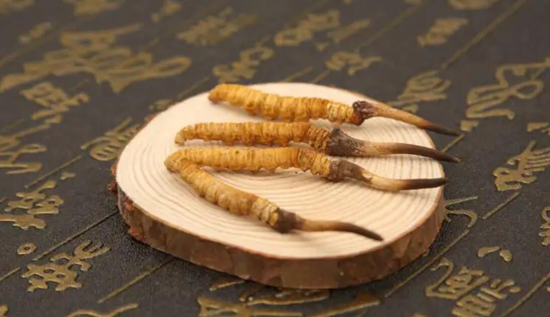 冬蟲(chóng)夏草怎么吃作用比較好？冬蟲(chóng)夏草如何吃效果好？