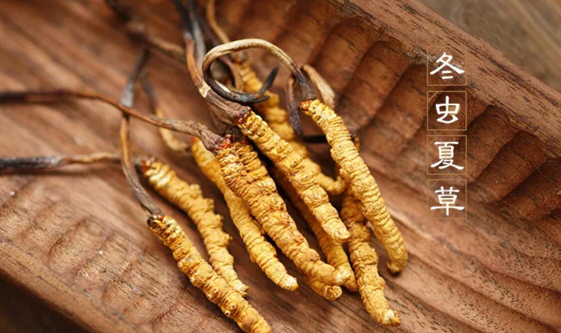 那曲冬蟲(chóng)夏草止咳平喘的神奇之處！