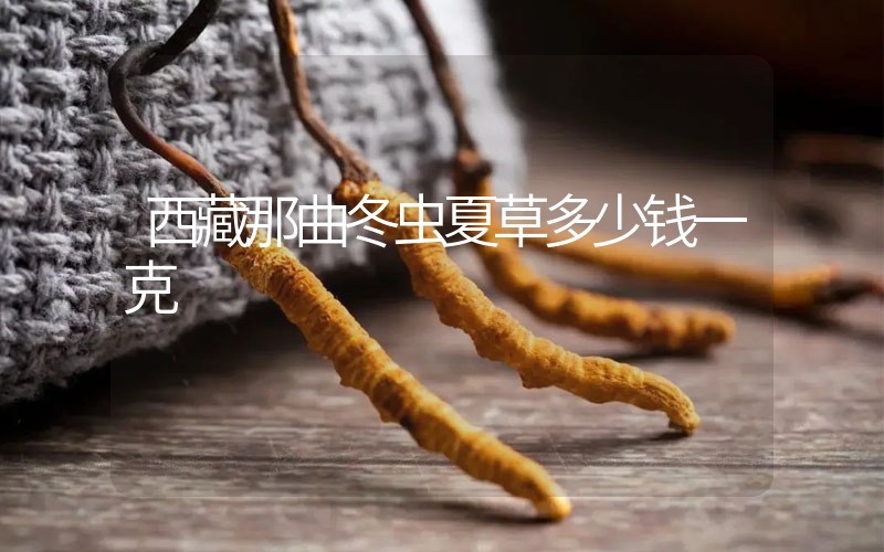 西藏那曲冬蟲夏草多少錢一克？
