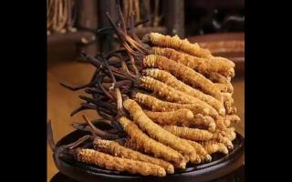 為什么藏民手里的蟲草比網上貴？