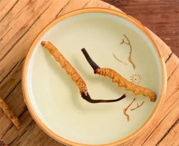 冬蟲夏草8歲小孩可以吃嗎？小孩是否可以食用冬蟲夏草