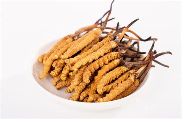 冬蟲(chóng)夏草和蝦滑搭配一起的5種吃法