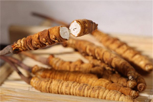 冬蟲(chóng)夏草和石蟹搭配一起的5種吃法