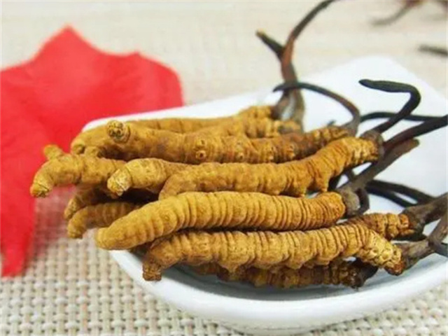冬蟲(chóng)夏草怎么食用？冬蟲(chóng)夏草的4種食用方法