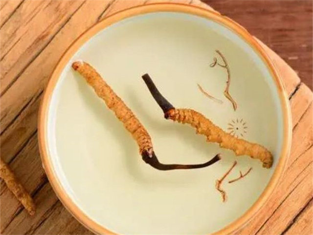 何時(shí)食用冬蟲夏草最好？適合食用冬蟲夏草的6大人群