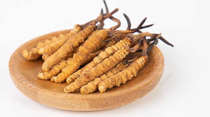 那曲市冬蟲夏草產業(yè)發(fā)展保護管理協(xié)會成功加入中國中藥協(xié)會