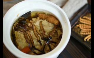 冬蟲夏草怎么食用？解鎖滋補養(yǎng)生的正確打開方式