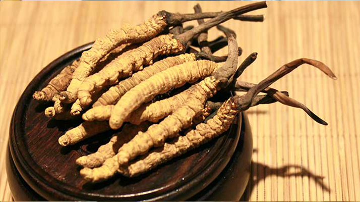 未來冬蟲夏草會(huì)漲價(jià)嗎？