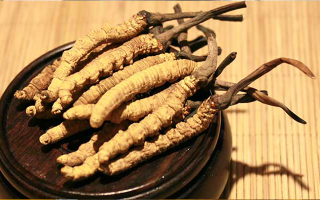 未來冬蟲夏草會漲價(jià)嗎？