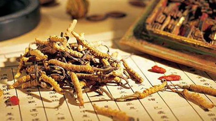 同仁堂健康冬蟲夏草：傳承品質(zhì)，饋贈(zèng)健康