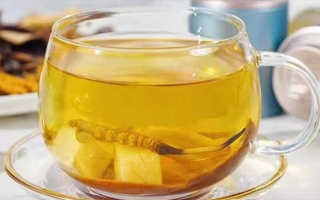 新鮮冬蟲夏草能泡茶嗎？一文讀懂養(yǎng)生新方式