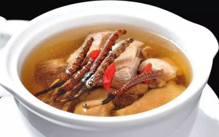 冬蟲夏草煲湯的最佳季節(jié)，喝對(duì)事半功倍