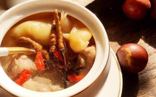 冬蟲夏草與什么泡水喝？養(yǎng)生搭配指南