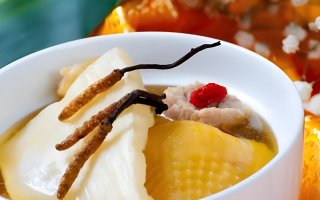 冬蟲夏草每天什么時(shí)候吃最好？一文詳解最佳食用時(shí)間