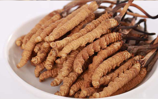 冬蟲(chóng)夏草燉水鴨，搭配這些食材更滋補(bǔ)