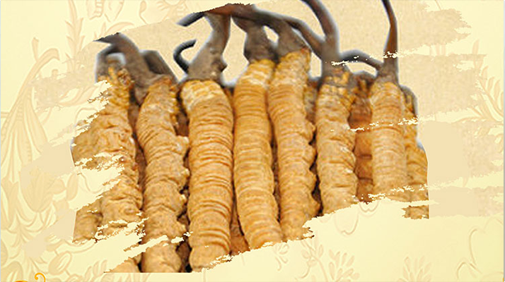 <a href=http://m.sinppecsales.com/ target=_blank class=infotextkey>冬蟲夏草</a>夏天如何保存