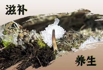 右側(cè)廣告位